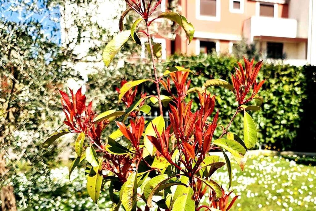 Cleo’s home Arezzo Exterior foto